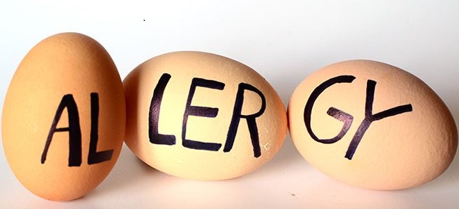 Childhood Egg Allergy