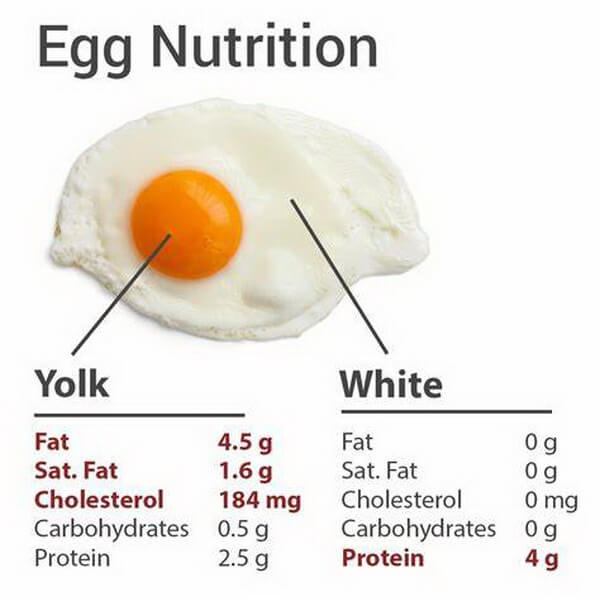 Eggs Nutrition