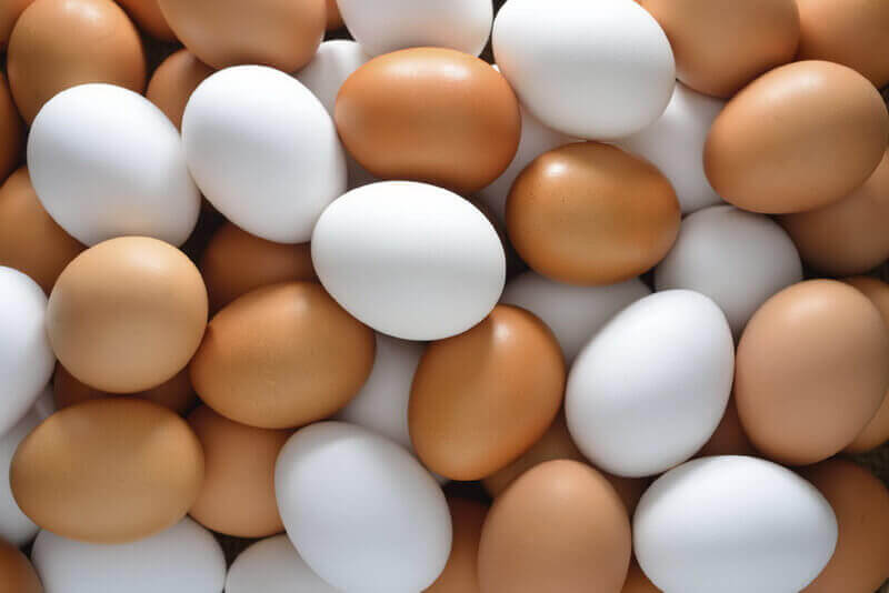 The nutritional value of eggs