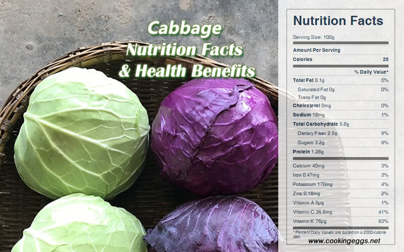 Cabbage Nutrition Facts & Health Benefits-CookingEggs
