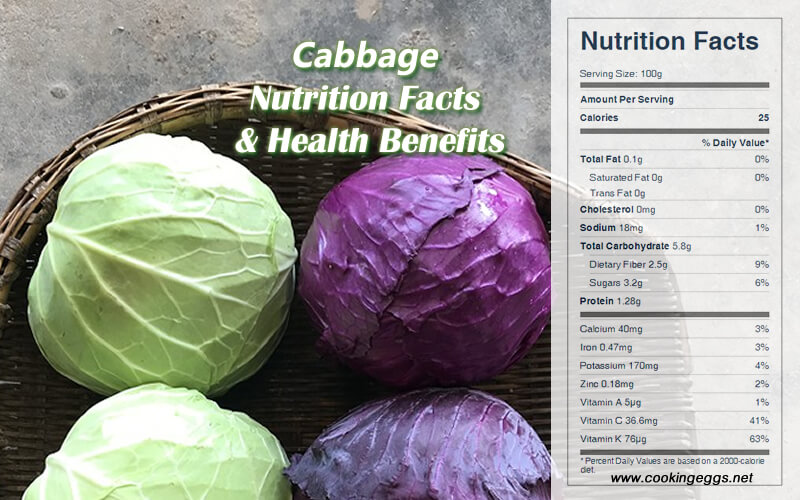 Cabbage Nutrition Facts & Health Benefits