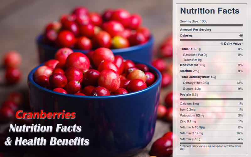 Fresh Cranberries Nutrition Facts and Health Benefits