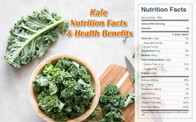 Kale Nutrition Facts & Health Benefits-CookingEggs