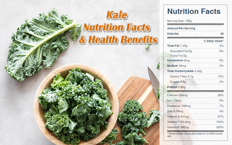 Kale Nutrition Facts & Health Benefits