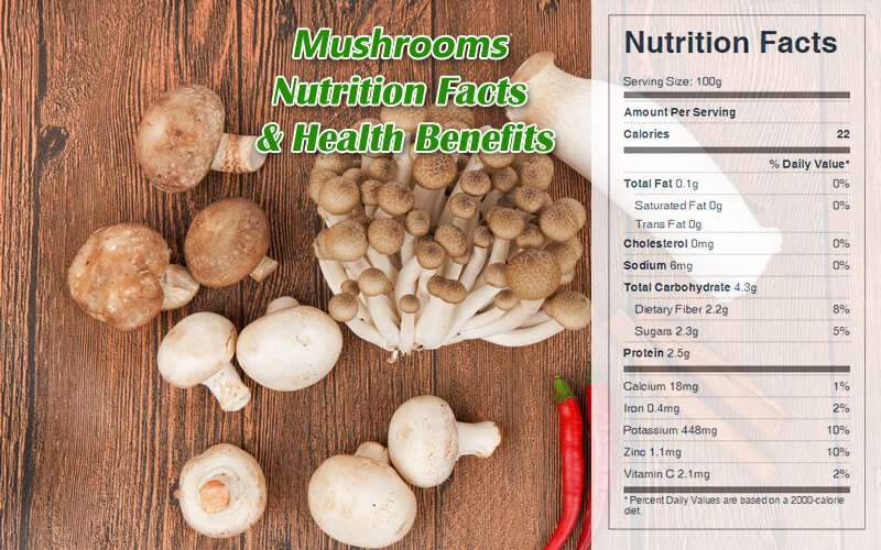 Mushrooms Nutrition Facts & Health Benefits-CookingEggs