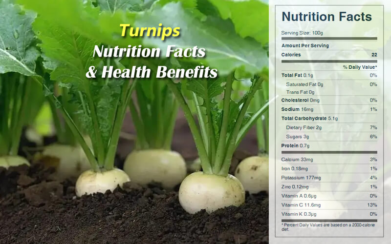 Turnips Nutrition Facts & Health Benefits-CookingEggs