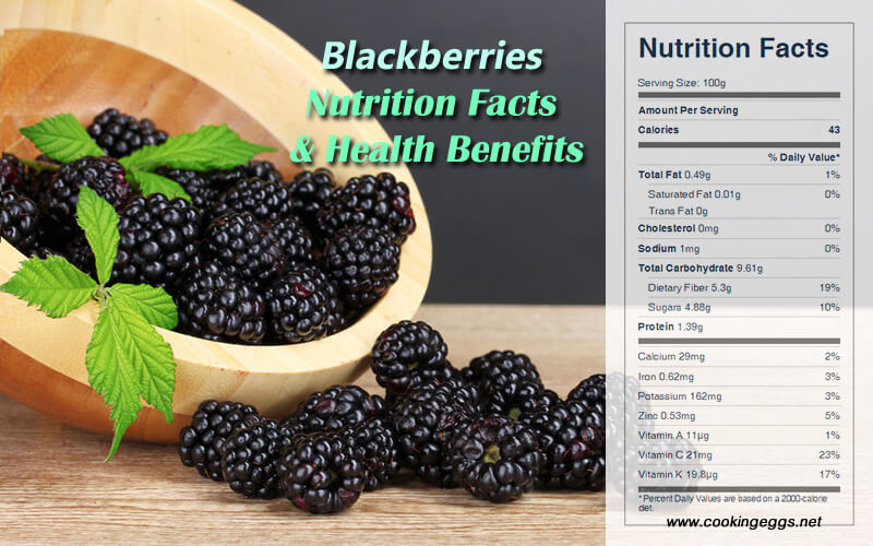 Blackberries Nutrition Facts and Health Benefits