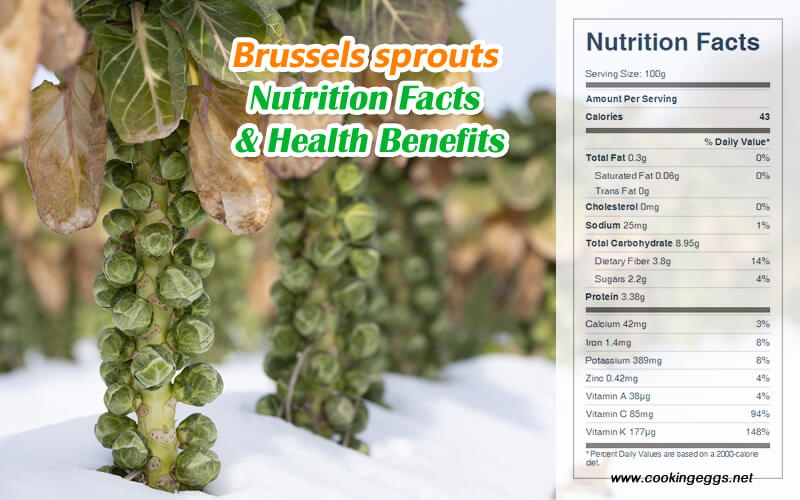Brussels sprouts Nutrition Facts & Health Benefits-CookingEggs