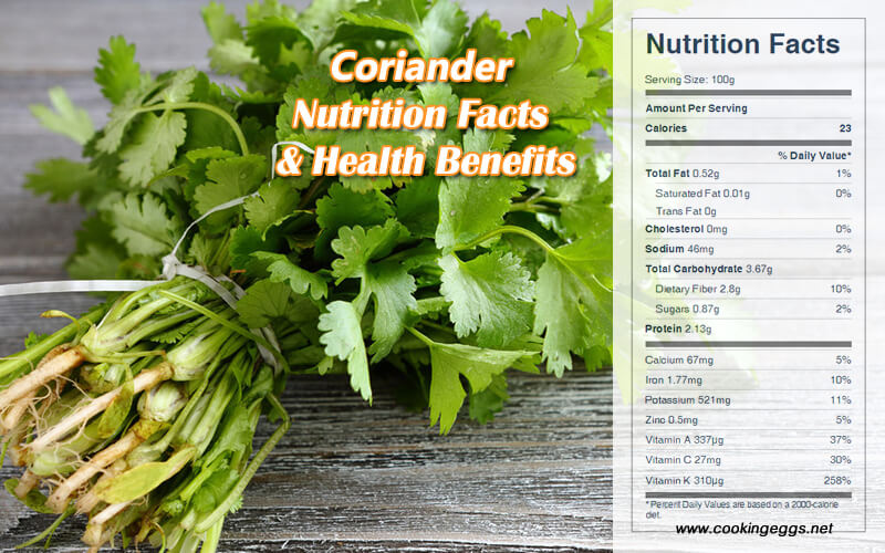 Coriander (cilantro) Nutrition Facts and Health Benefits