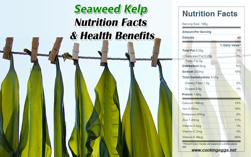 Seaweed Kelp Nutrition Facts & Health Benefits-CookingEggs