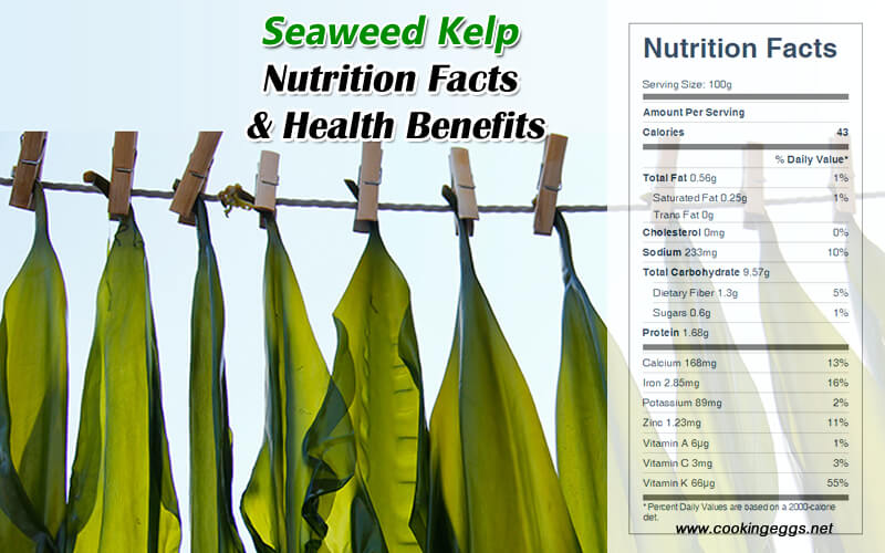 Kelp Nutrition Facts and Health Benefits