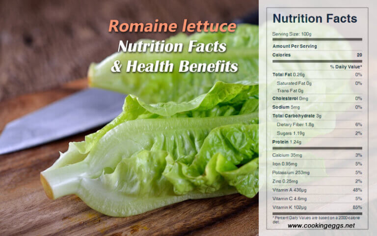 Romaine lettuce Nutrition Facts Health Benefits CookingEggs