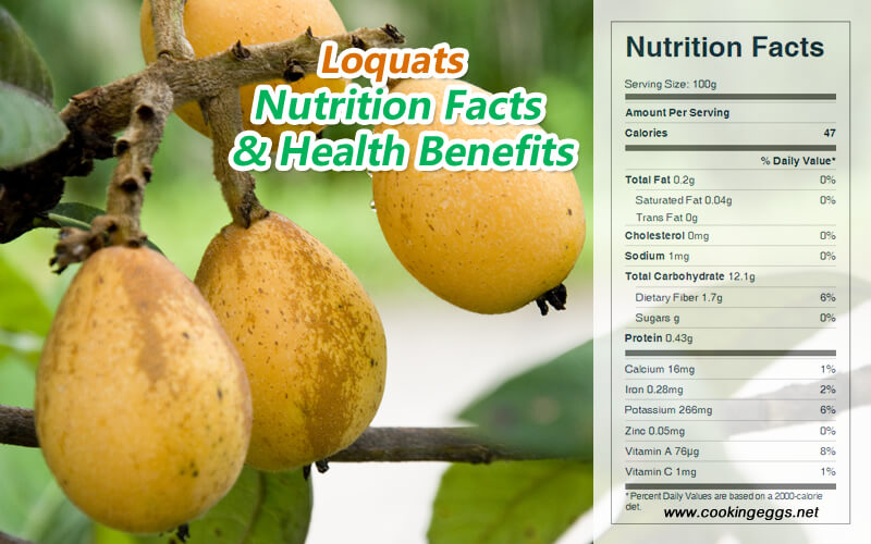 Loquats Nutrition Facts & Health Benefits-CookingEggs