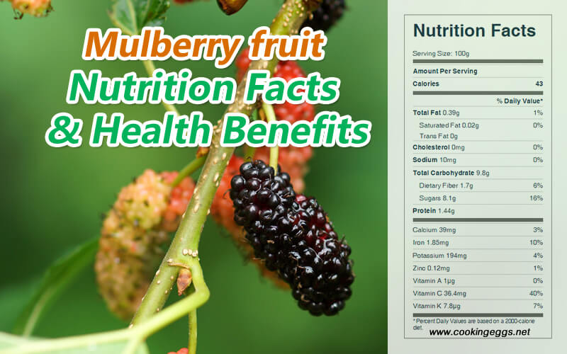 Mulberry fruit Nutrition Facts and Health Benefits