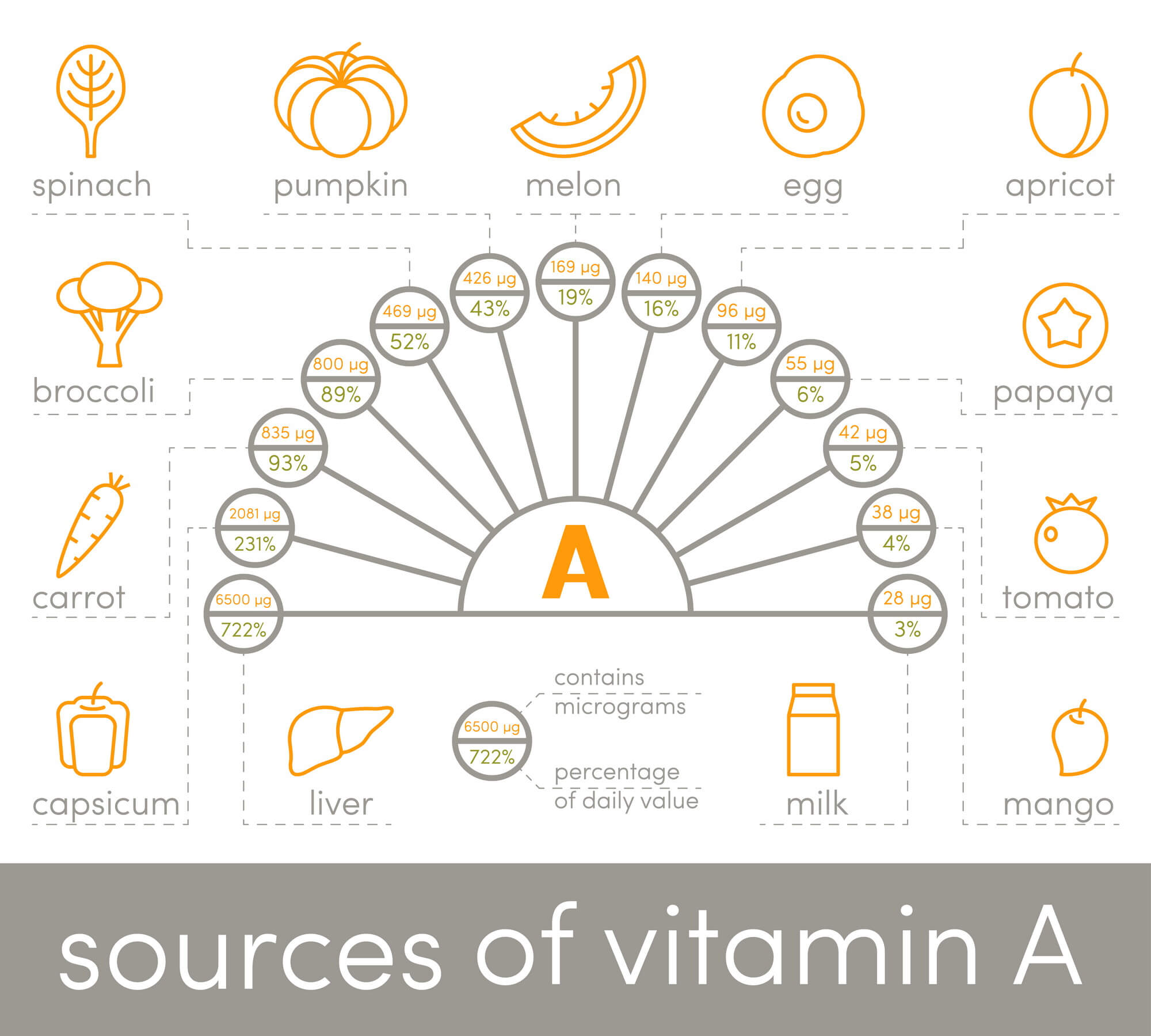 Best Food Sources Of Vitamin A