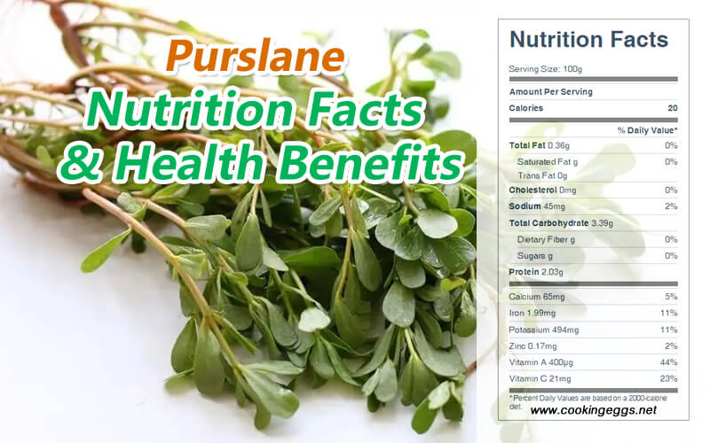 Purslane Nutrition Facts and Health Benefits-CookingEggs