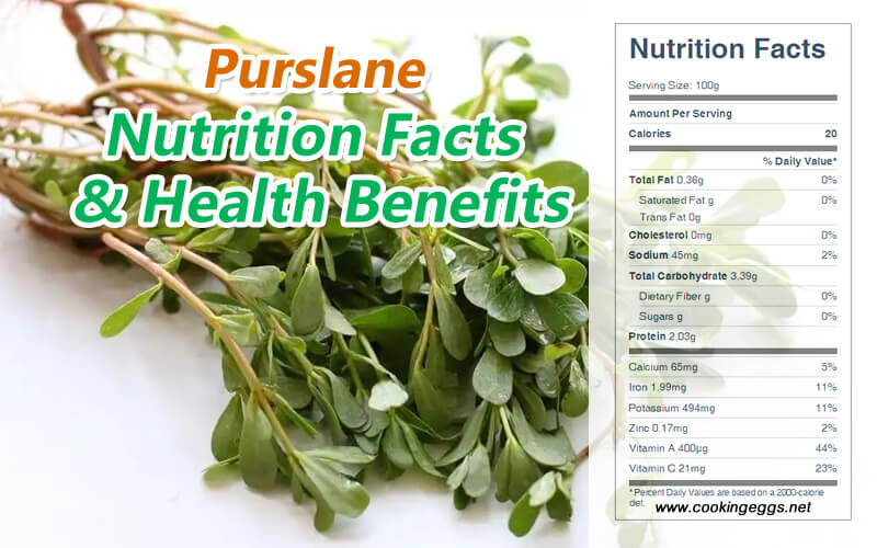 Purslane Nutrition Facts and Health Benefits