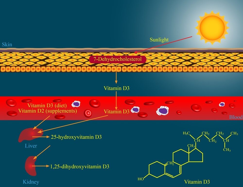 What is Vitamin D