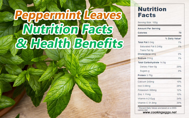 Peppermint Herb Nutrition Facts & Health Benefits