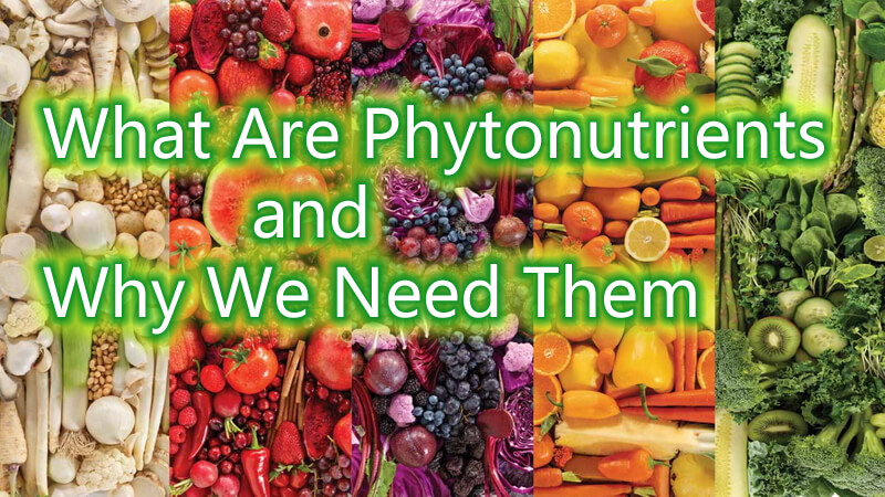 What are phytonutrients and why do we need them?