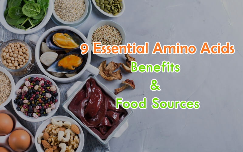 9 Essential Amino Acids - Benefits & Food Sources