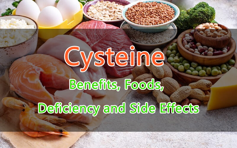 Cysteine Benefits, Foods, Deficiency and Side Effects