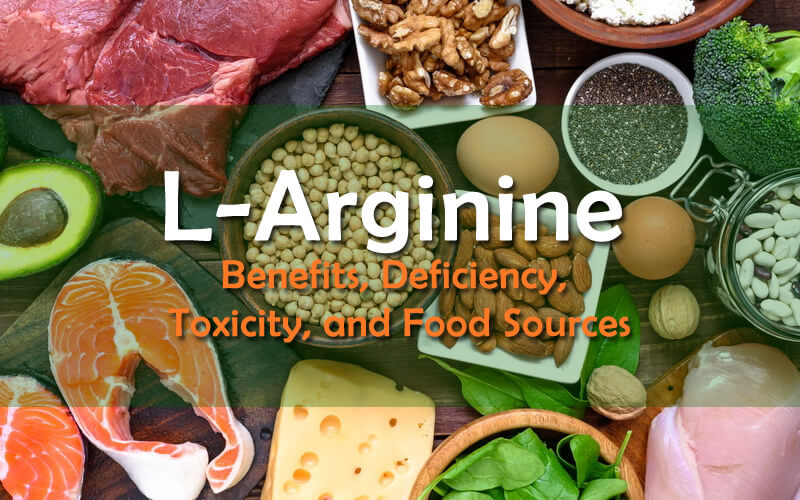 L-Arginine Benefits, Deficiency, Toxicity, and Food Sources