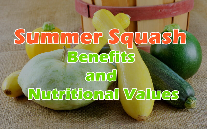 Summer Squash Benefits and Nutritional Values
