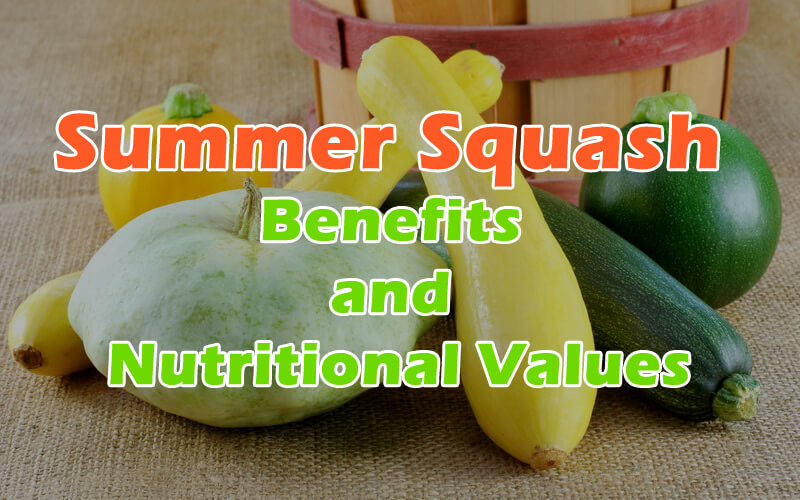 Summer Squash Benefits And Nutritional Values CookingEggs summer-squash-benefits-and-nutritional-values-cookingeggs